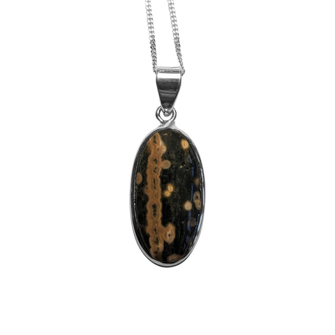 Thassala Ocean Jasper Silver Pendant and Chain