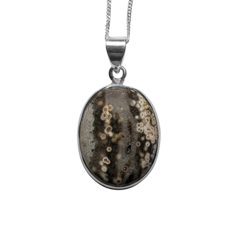 Poseidon Ocean Jasper Silver Pendant and Chain